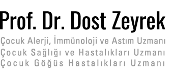 Prof. Dr. Dost Zeyrek